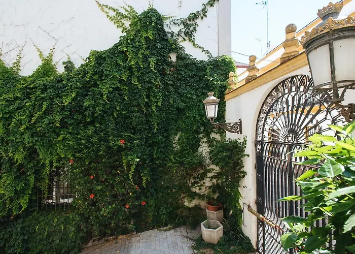 Vidrio Suite Apartment