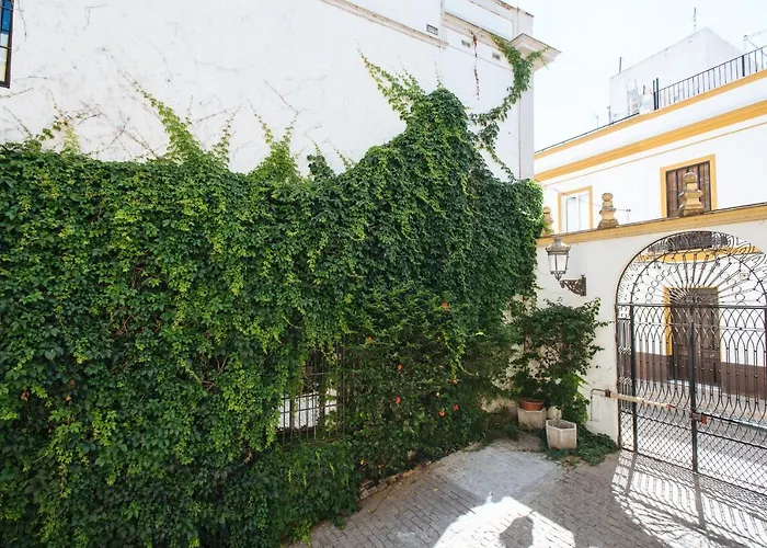 Vidrio Suite Apartment