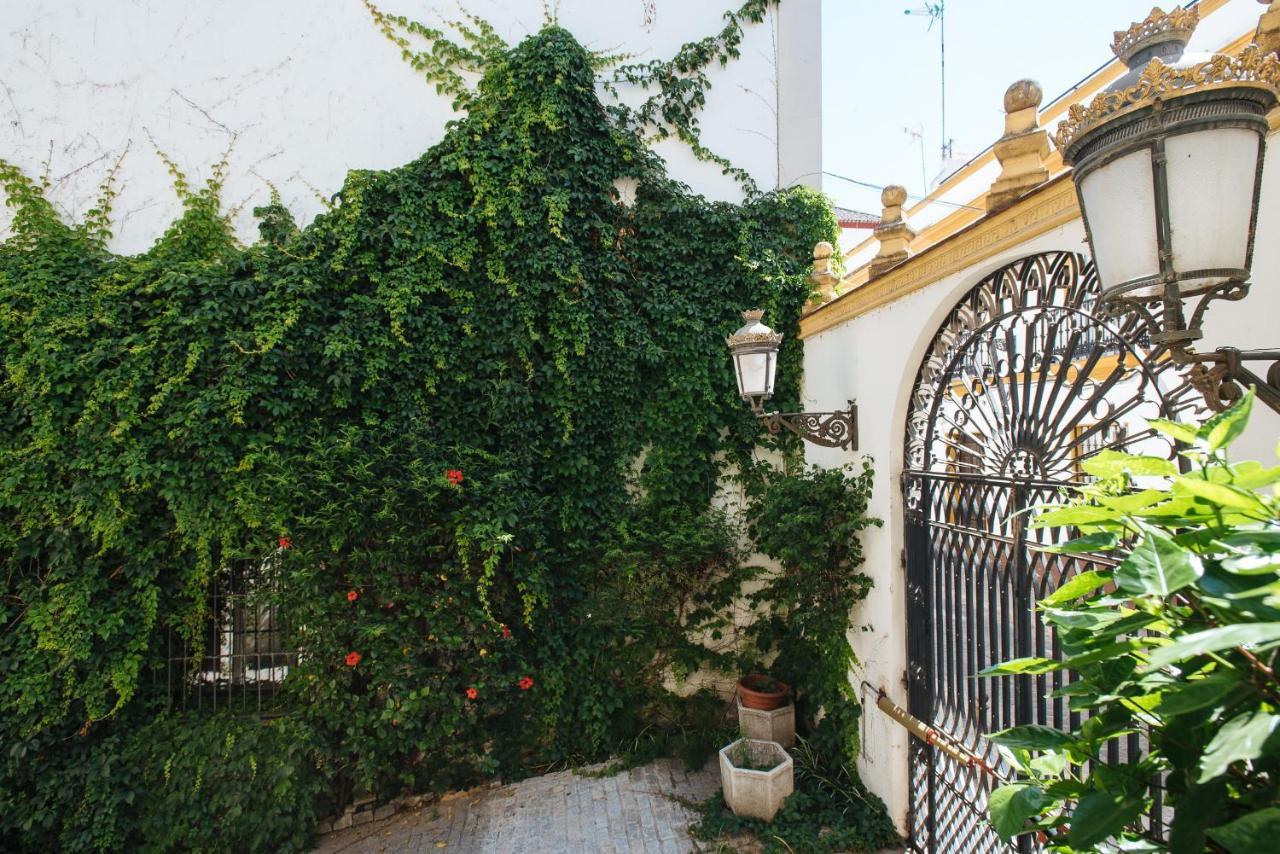 Apartament Vidrio *